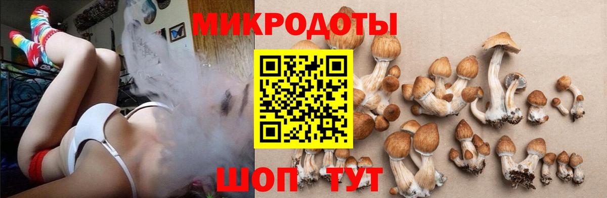Галлюциногенные грибы мицелий Новосибирск