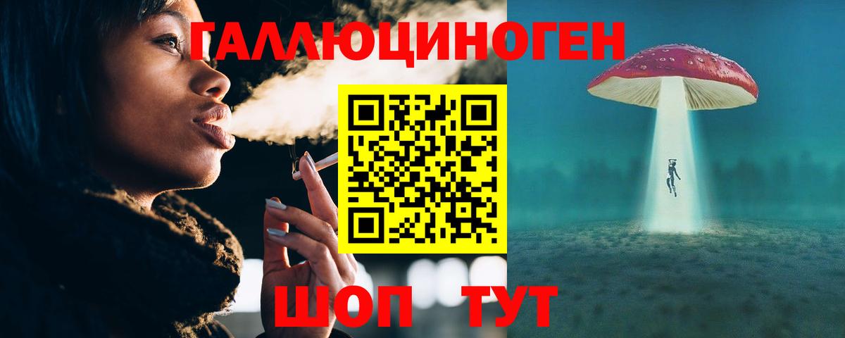 Псилоцибиновые грибы MAGIC MUSHROOMS  где найти   Новосибирск  Вход с VPN  Псилоцибиновые грибы GOLDEN TEACHER 